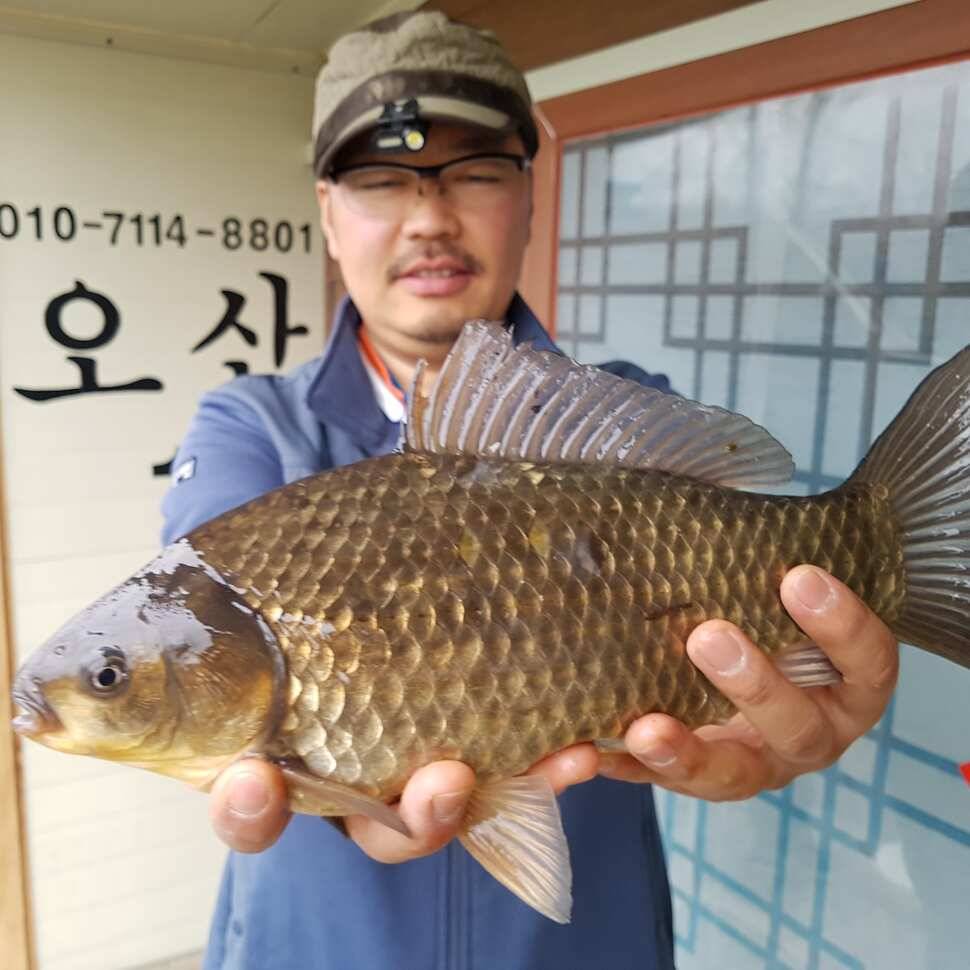 특별한 포인트 (유료터정보 - 유료터점주조황)