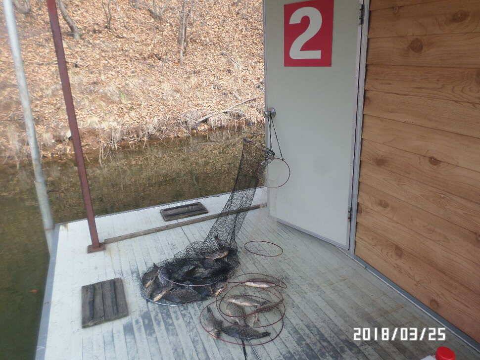 아산신수지 4째 주말 화보 입니다 (유료터정보 - 유료터점주조황)