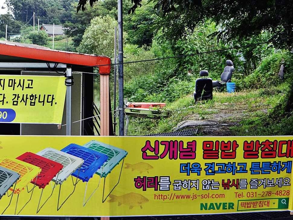 경기도 포천 쌍방죽낚시터 8월 29일 소식 (유료터정보 - 유료터점주조황)
