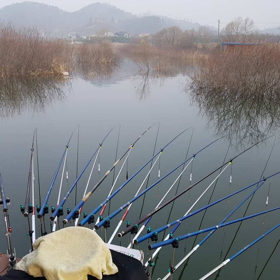 분위기가 살아 있네요 (유료터정보 - 유료터점주조황)