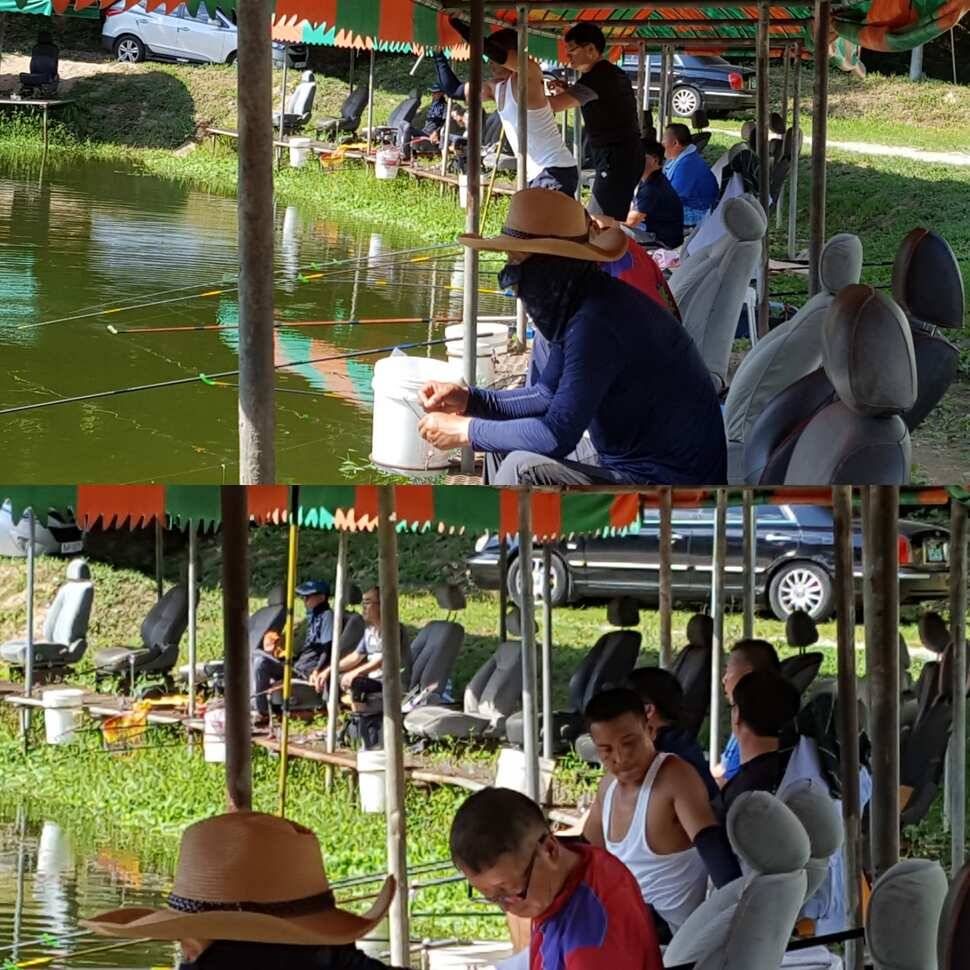 삼복 아닌 사복 (유료터정보 - 유료터점주조황)