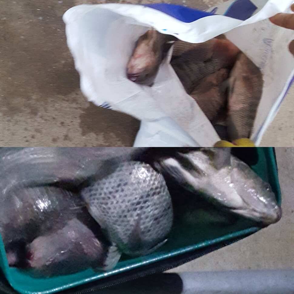 어디 가니 (유료터정보 - 유료터점주조황)