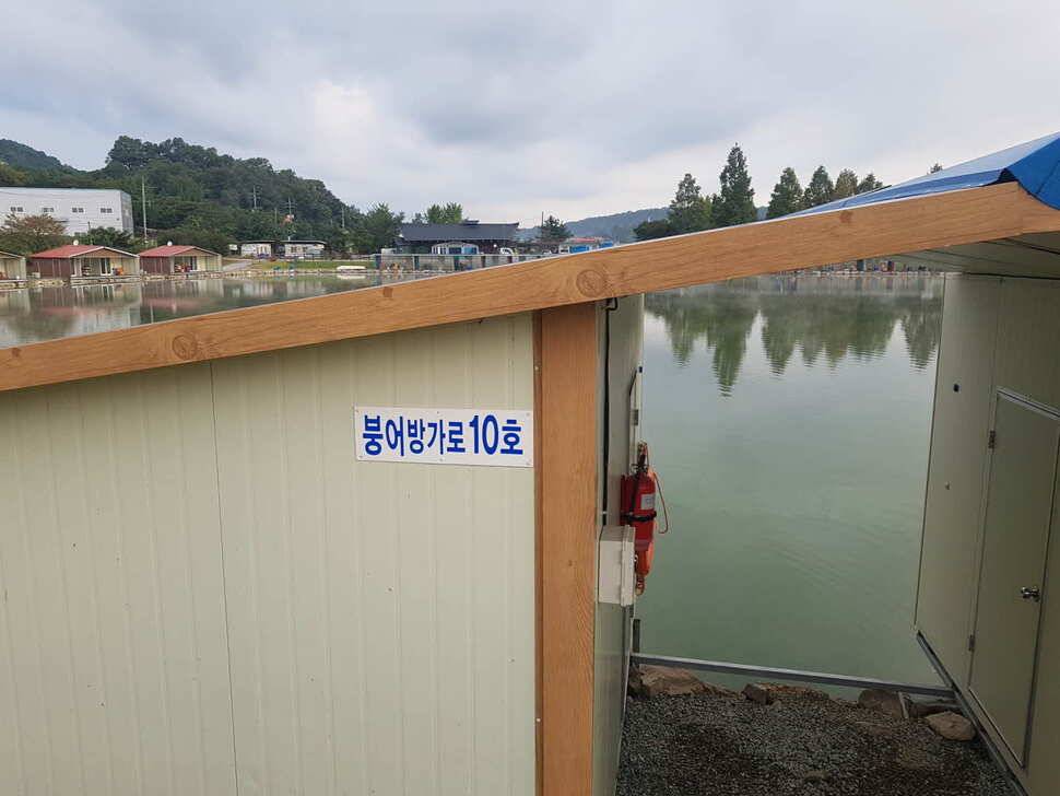 경기도 안성 거청낚시터 붕어조황 9 얼 30 (유료터정보 - 유료터점주조황)