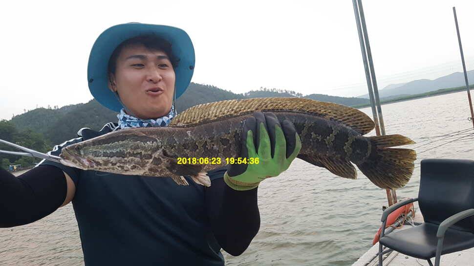 신원낚시터 6월 29일 조황소식입니다 (유료터정보 - 유료터점주조황)