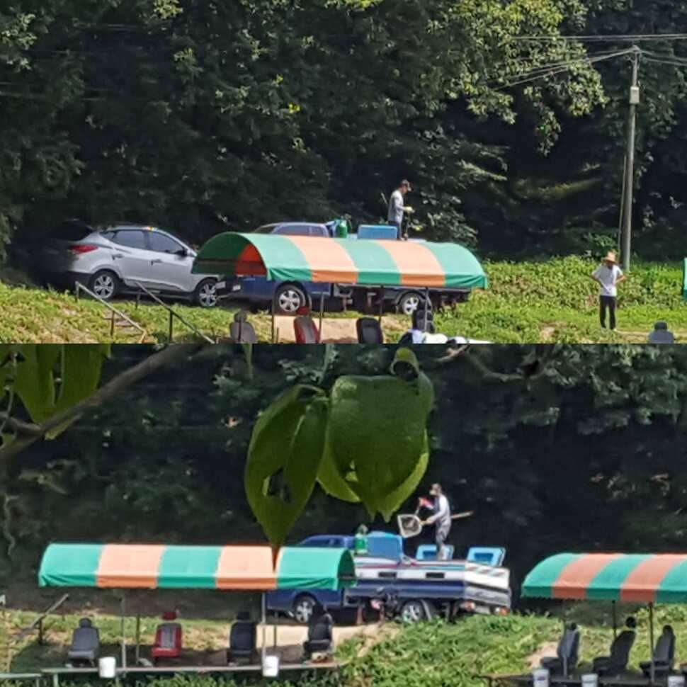 얄궂은 낚시 (유료터정보 - 유료터점주조황)