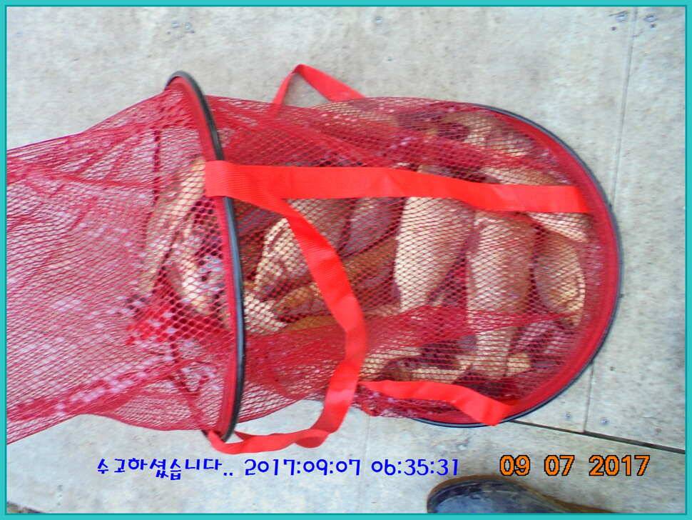 도심속의 작은 쉼터 화성 관리 낚시터입니다생각나는 사람으로 살자 (유료터정보 - 유료터점주조황)