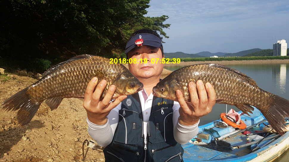 신원낚시터 8월셋쨋주 토종 4짜 조황소식입니다 (유료터정보 - 유료터점주조황)