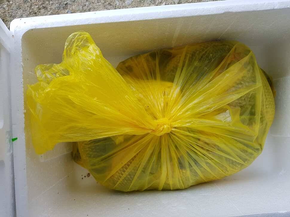 반제지 9월12일조황정보입니다 (유료터정보 - 유료터점주조황)