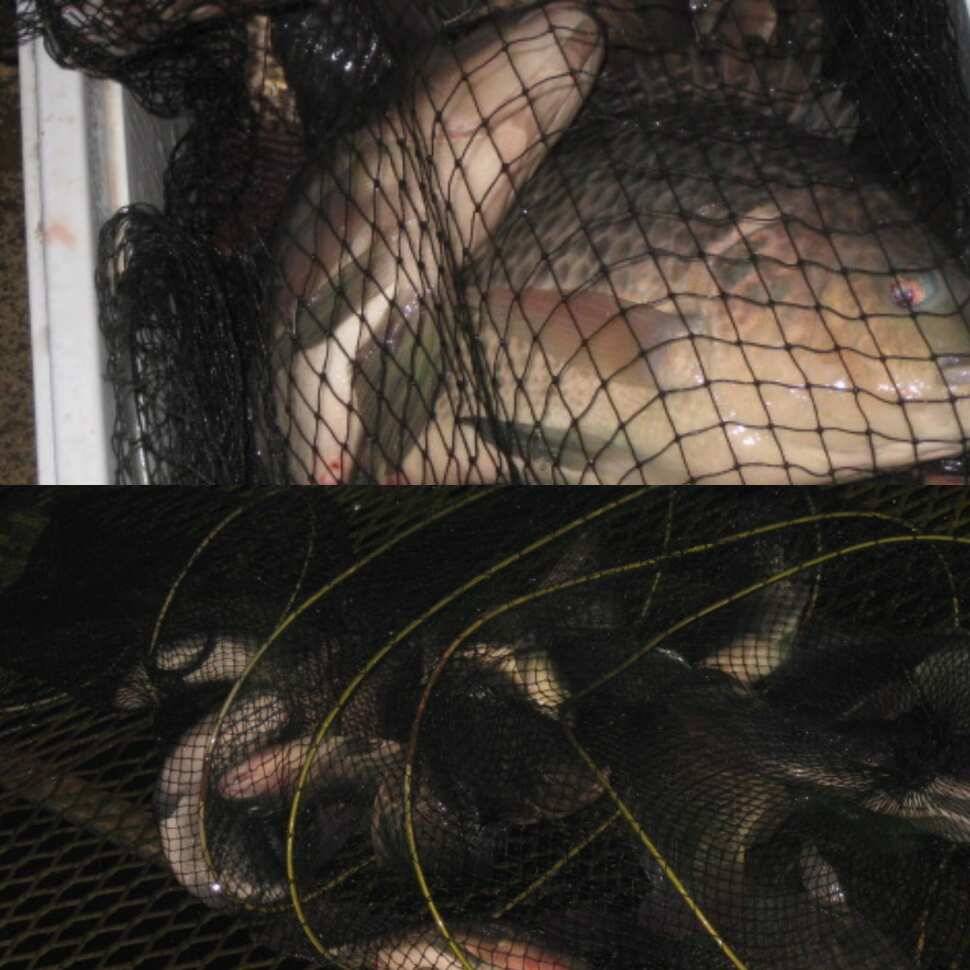 똑같은 신념 (유료터정보 - 유료터점주조황)