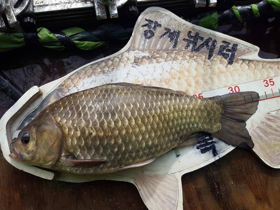 안성죽산장계지조항전경입니다 (유료터정보 - 유료터점주조황)