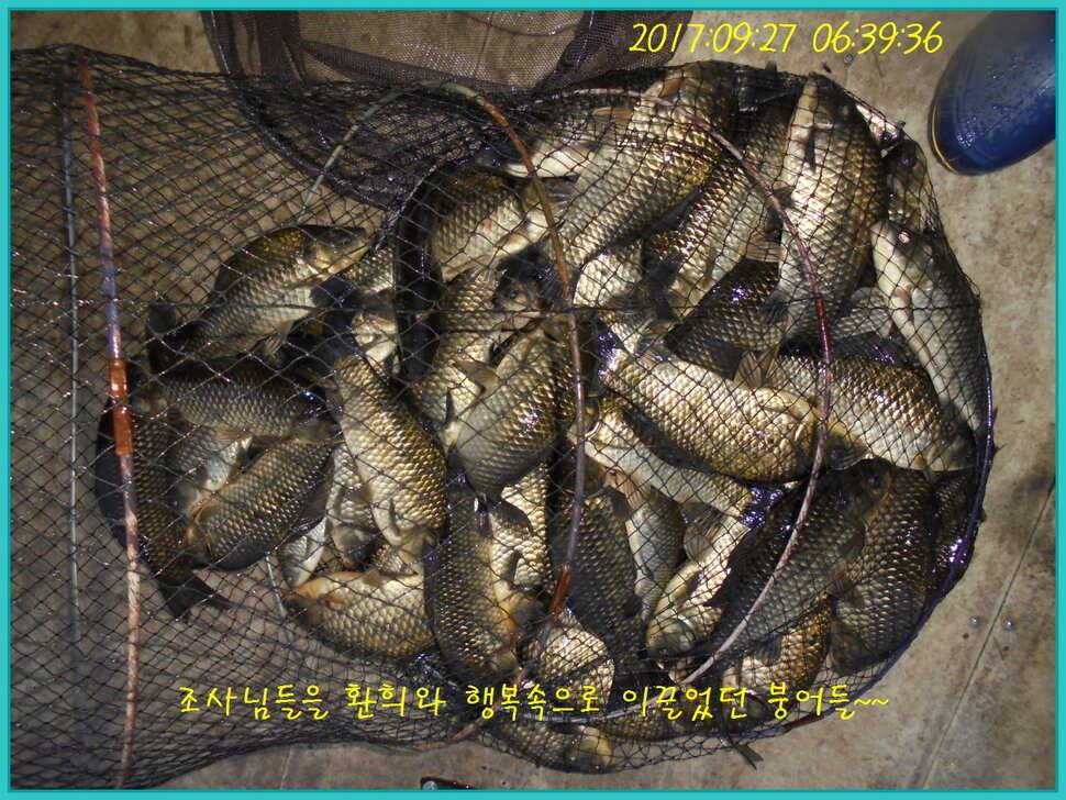 도심속의 작은 쉼터 화성 관리 낚시터입니다즐겁고 행복하고 풍성한 한가위 보내세요 (유료터정보 - 유료터점주조황)