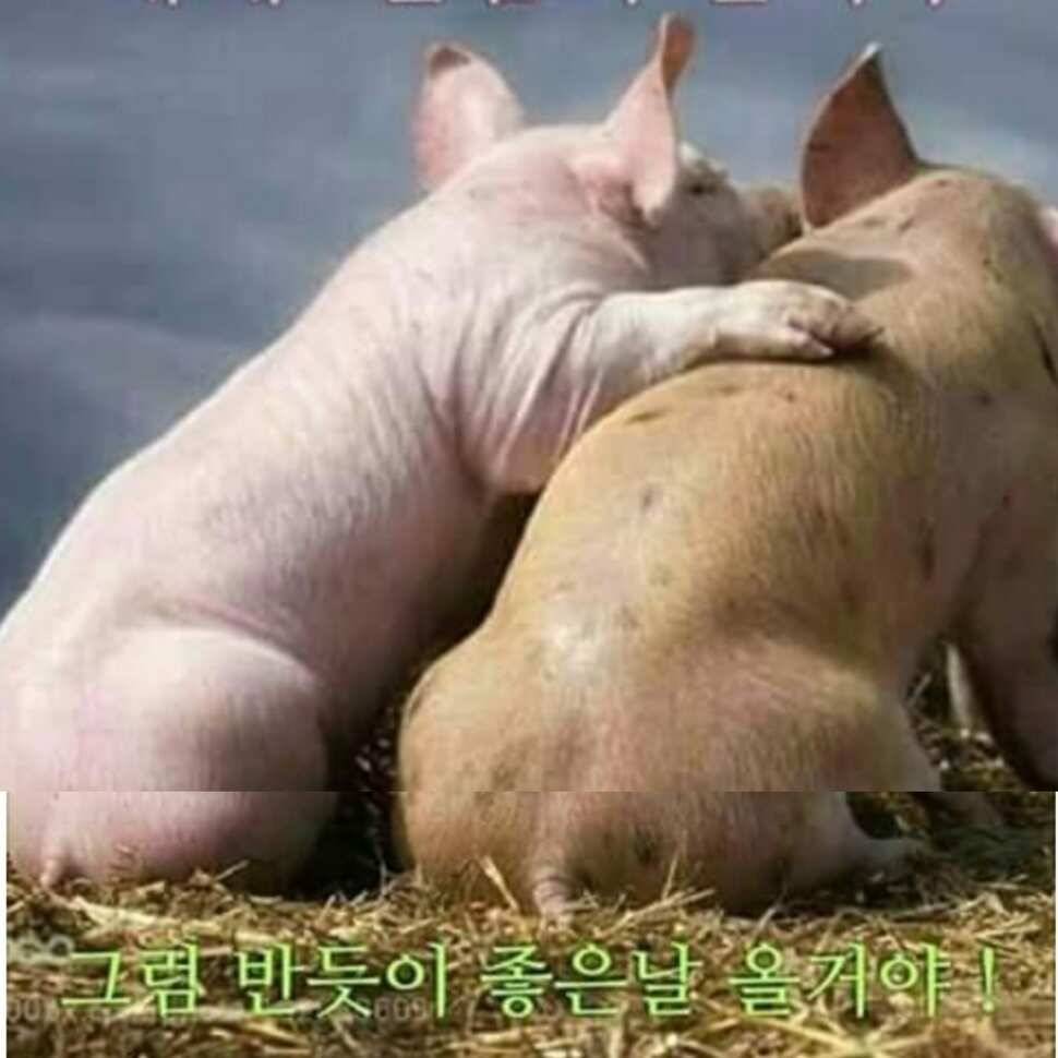 내 맘도 몰라주고 (유료터정보 - 유료터점주조황)