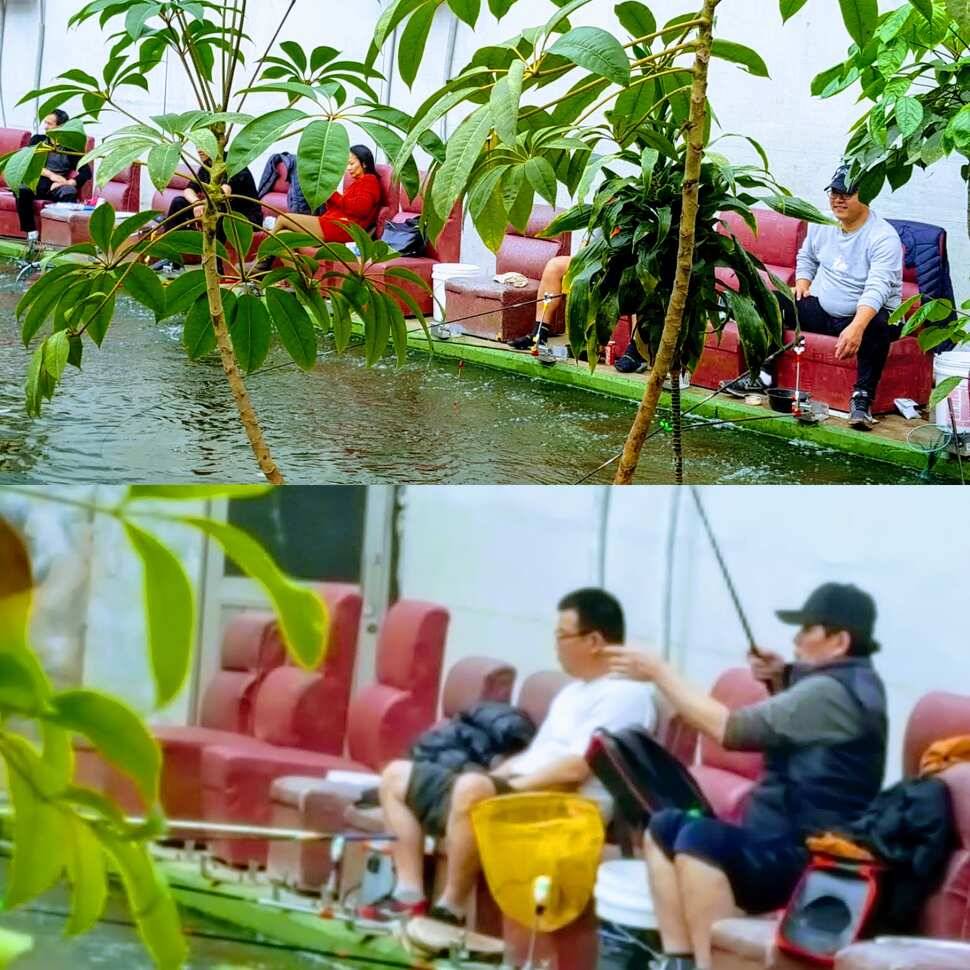 망상 (유료터정보 - 유료터점주조황)