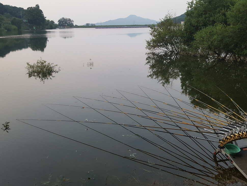 안성죽산장계지조항전경입니다 (유료터정보 - 유료터점주조황)