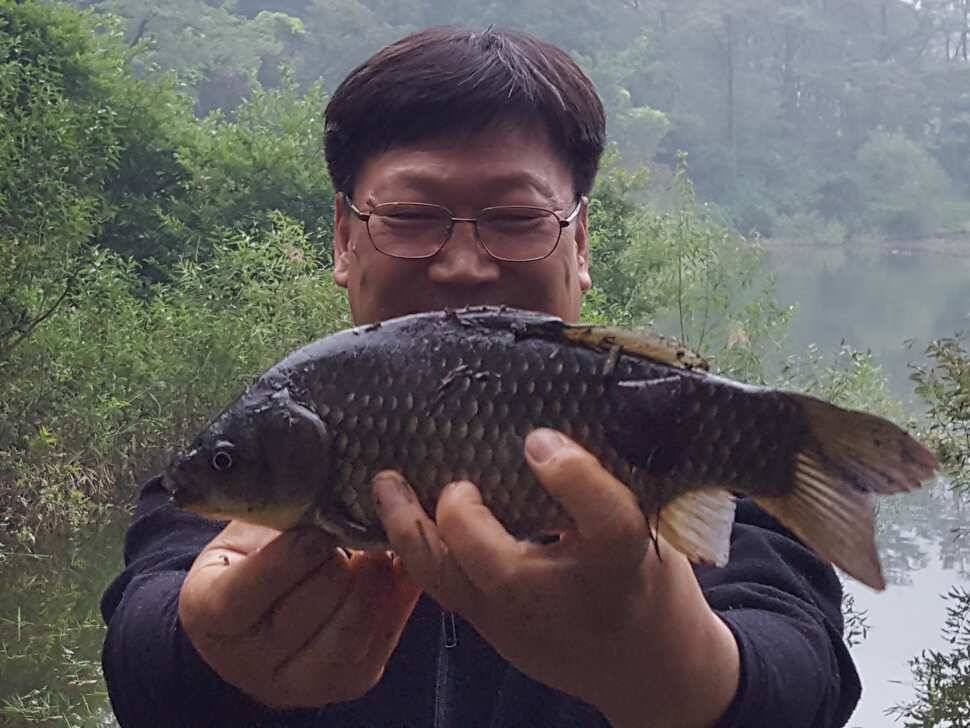 안성죽산장계지조항전경입니다 (유료터정보 - 유료터점주조황)