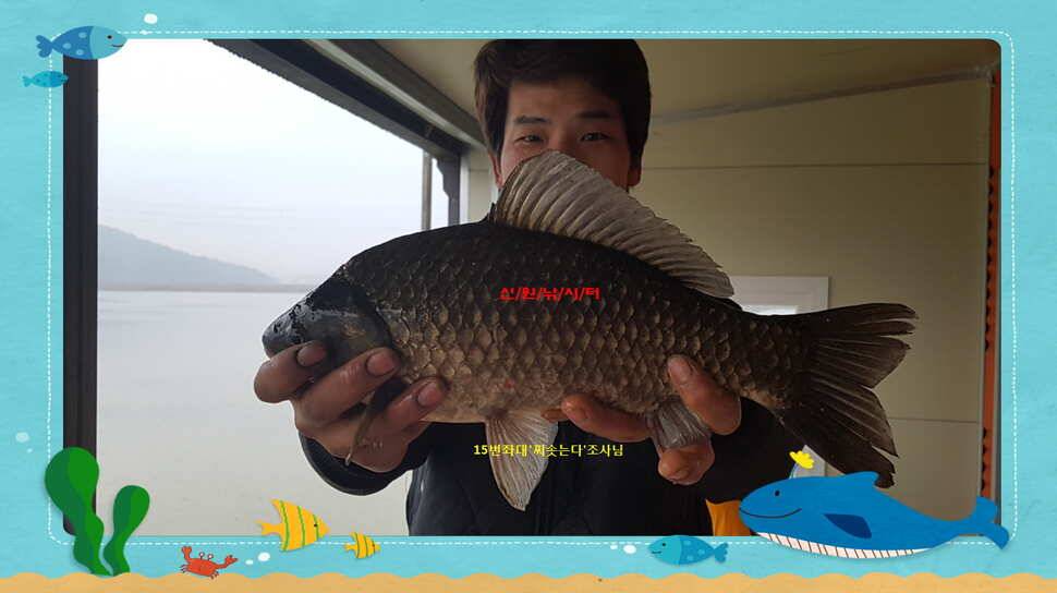 신원낚시터 12월 첫쨋주 조황소식과 방류 동영상 입니다 (유료터정보 - 유료터점주조황)