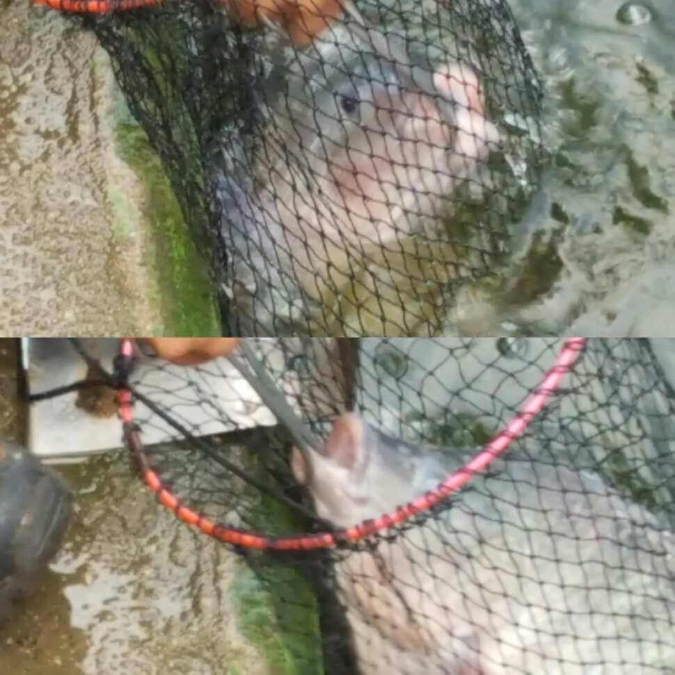 천국 (유료터정보 - 유료터점주조황)