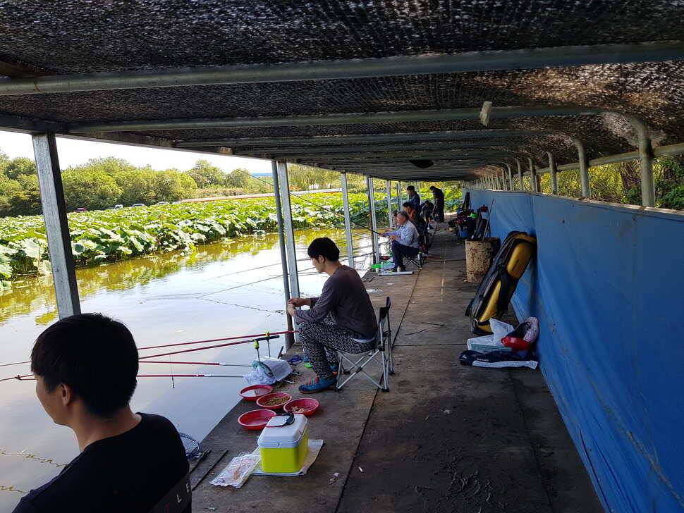 fish_pay_6cf23_041206_84838.jpg