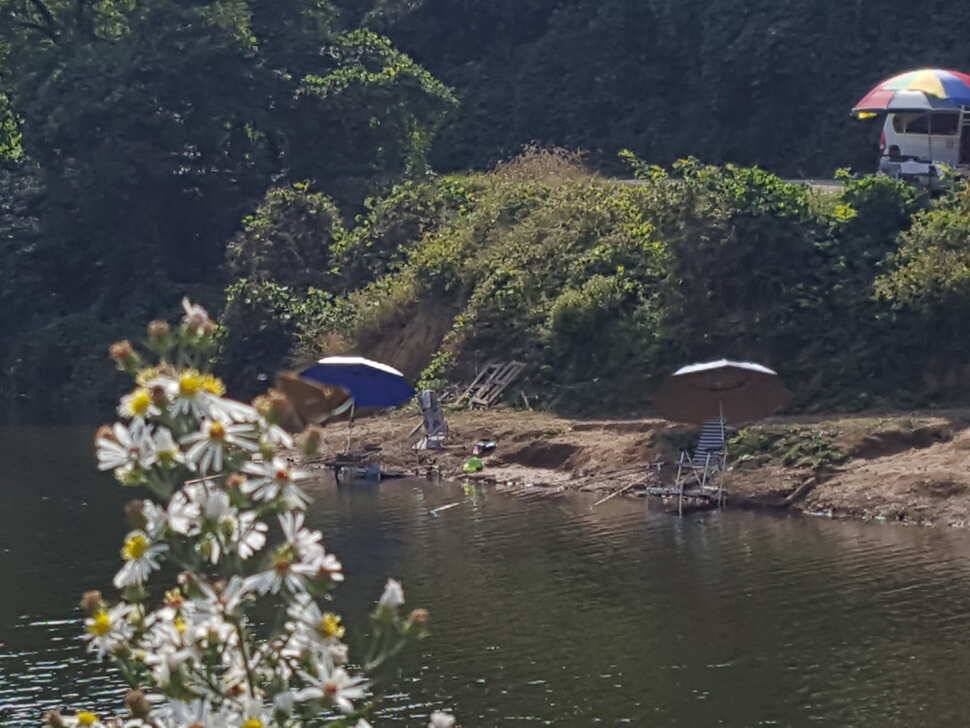 안성죽산장계지조항전경입니다 (유료터정보 - 유료터점주조황)