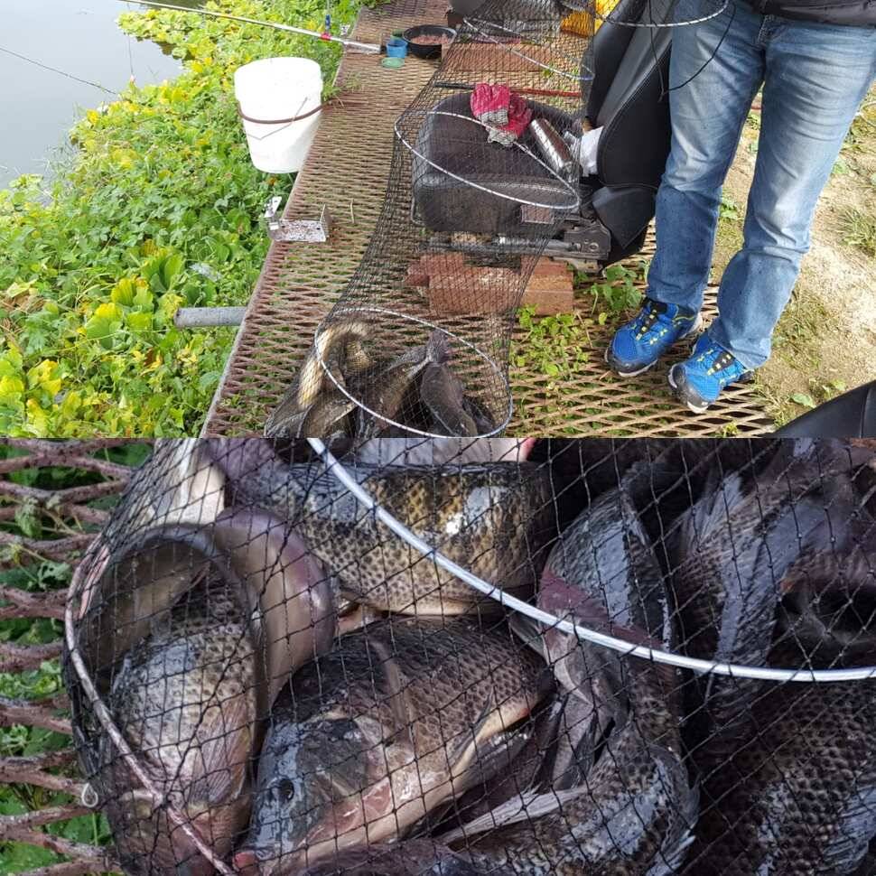 fish_pay_6f8c4_070628_47207.jpg