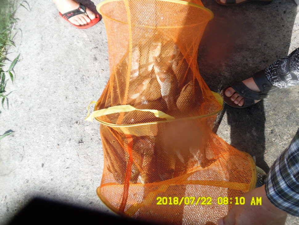 경주 동산낚시터 지난주 조황 (유료터정보 - 유료터점주조황)