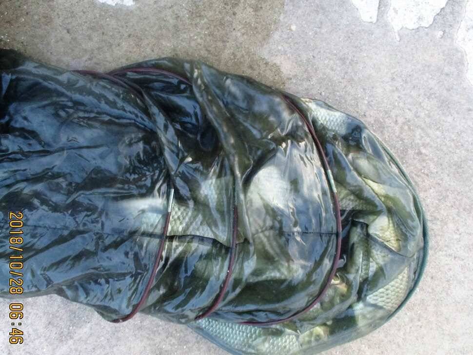 반제지 조황정보입니다 (유료터정보 - 유료터점주조황)