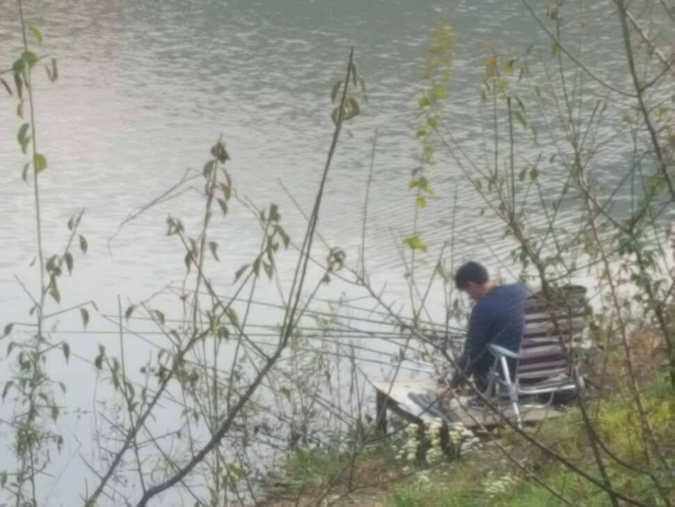 안성죽산장계지조항전경입니다 (유료터정보 - 유료터점주조황)