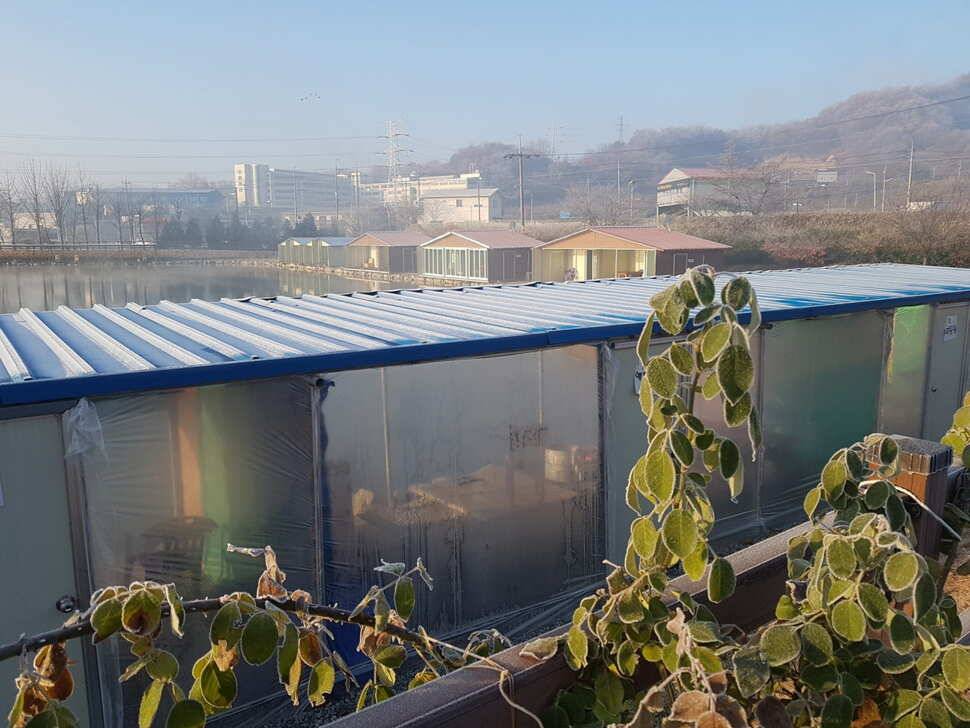 11 월 21 일 경기도 안성 거청낚시터 붕어조황 (유료터정보 - 유료터점주조황)