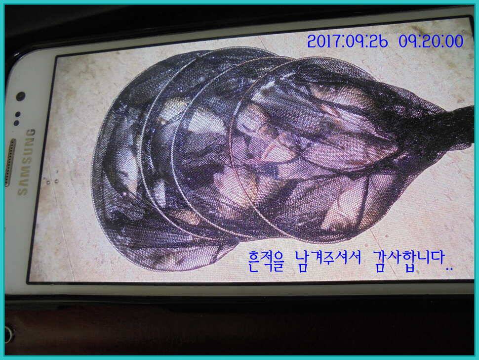도심속의 작은 쉼터 화성 관리 낚시터입니다건강하고 풍성한 한가위 맞으소서 (유료터정보 - 유료터점주조황)