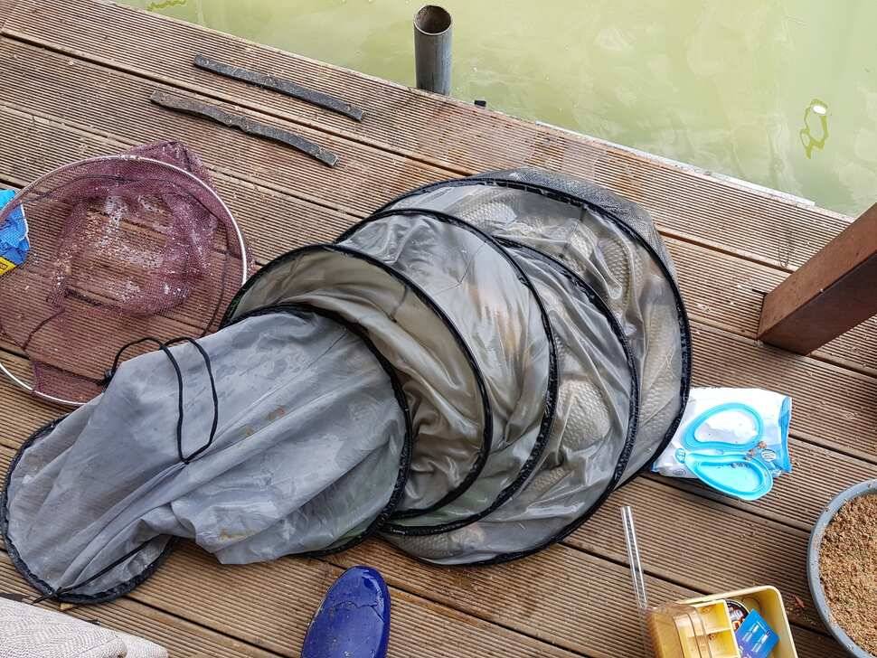 반제지 9월12일조황정보입니다 (유료터정보 - 유료터점주조황)