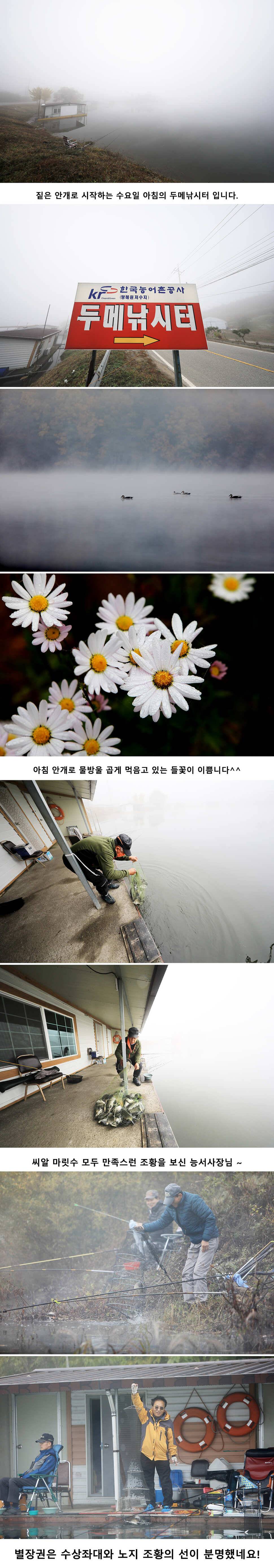 안성 두메낚시터 10월24일 조황안내 (유료터정보 - 유료터점주조황)