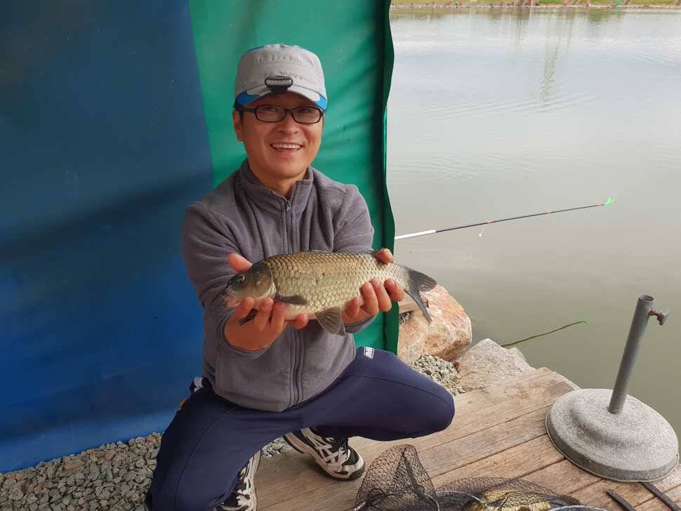 거청낚시터 9 월 3 안성 거청낚시터 붕어조황 (유료터정보 - 유료터점주조황)