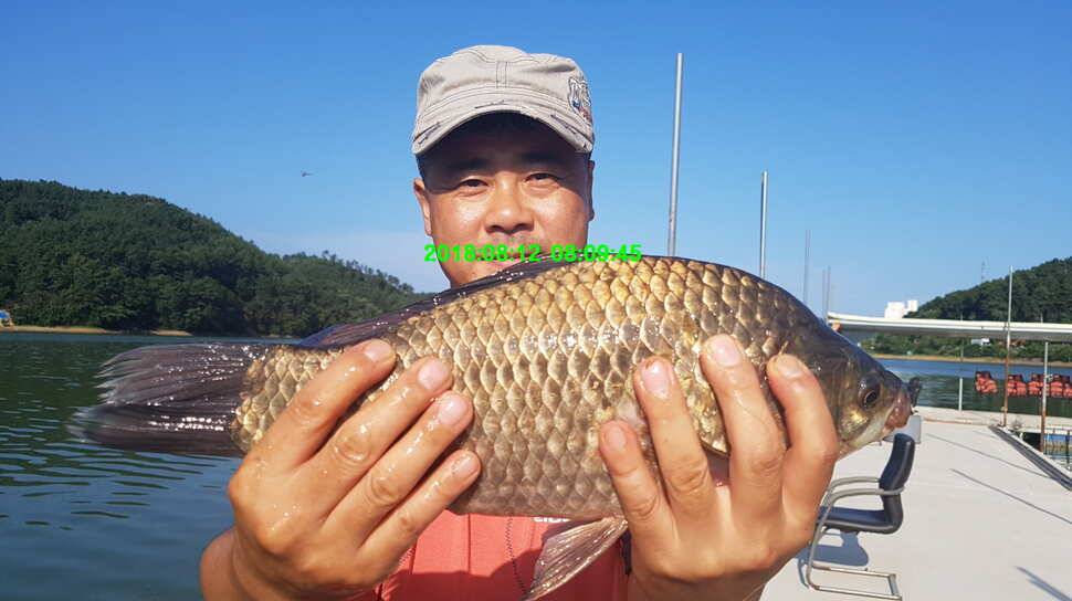 신원낚시터 8월 둘쨋주 조황 소식입니다 (유료터정보 - 유료터점주조황)