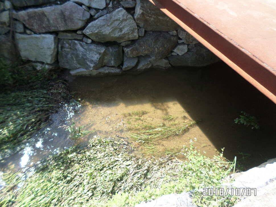 아산신수지 10월 첫 주말 화보입니다 (유료터정보 - 유료터점주조황)