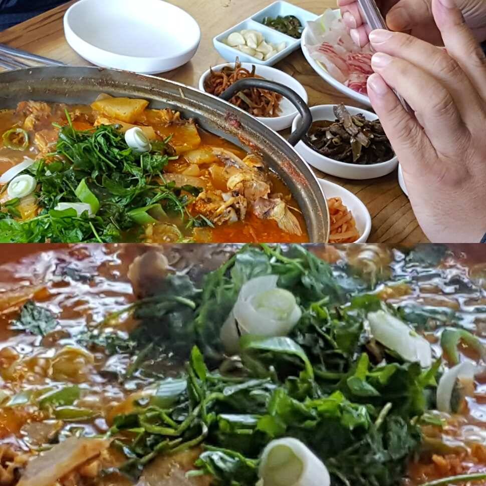 영하 200도 (유료터정보 - 유료터점주조황)