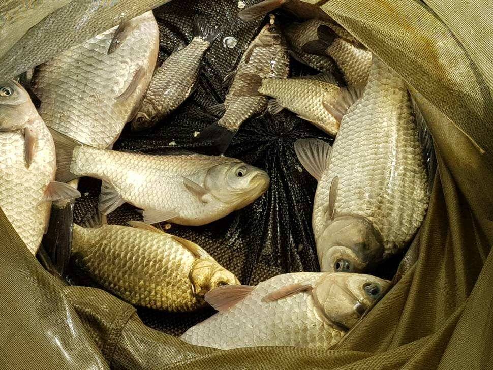 fish_pay_75462_093945_14989.jpg