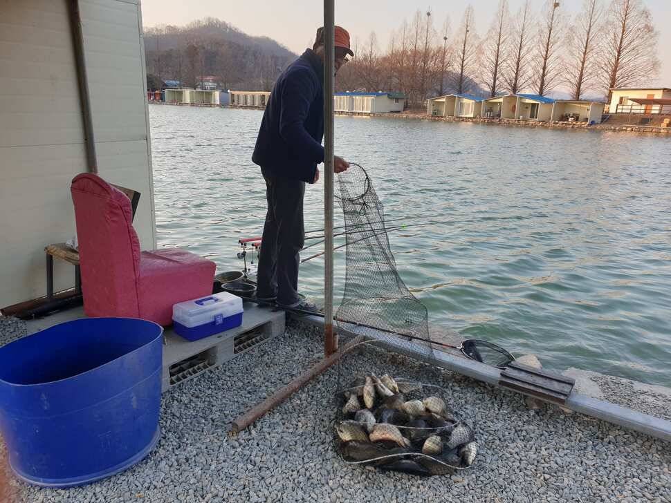 거청낚시터 3 월 9일 붕어조황 (유료터정보 - 유료터점주조황)