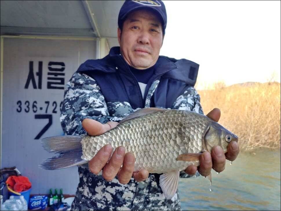 180322 송전지 서울집 조황 (유료터정보 - 유료터점주조황)