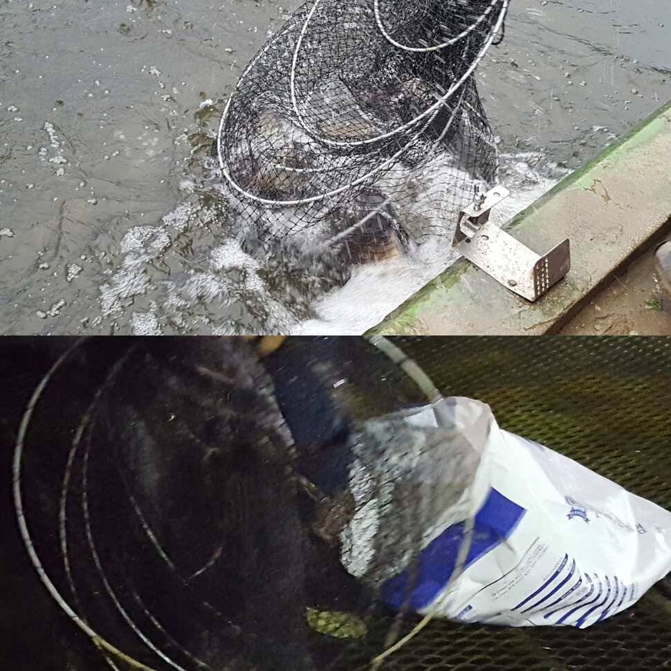 눈먼 물고기 (유료터정보 - 유료터점주조황)