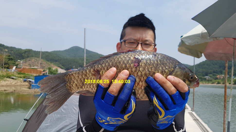 신원낚시터 6월 29일 조황소식입니다 (유료터정보 - 유료터점주조황)