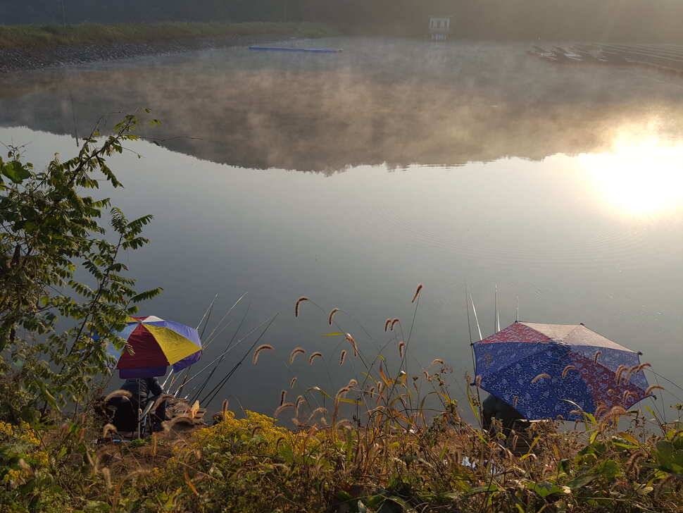 안성죽산장계지조항전경입니다 (유료터정보 - 유료터점주조황)