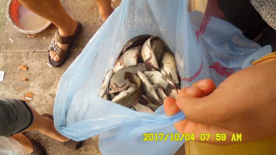안성시장배전국민물낚시대회 티켓마감임박 10월4일반제지조황 (유료터정보 - 유료터점주조황)