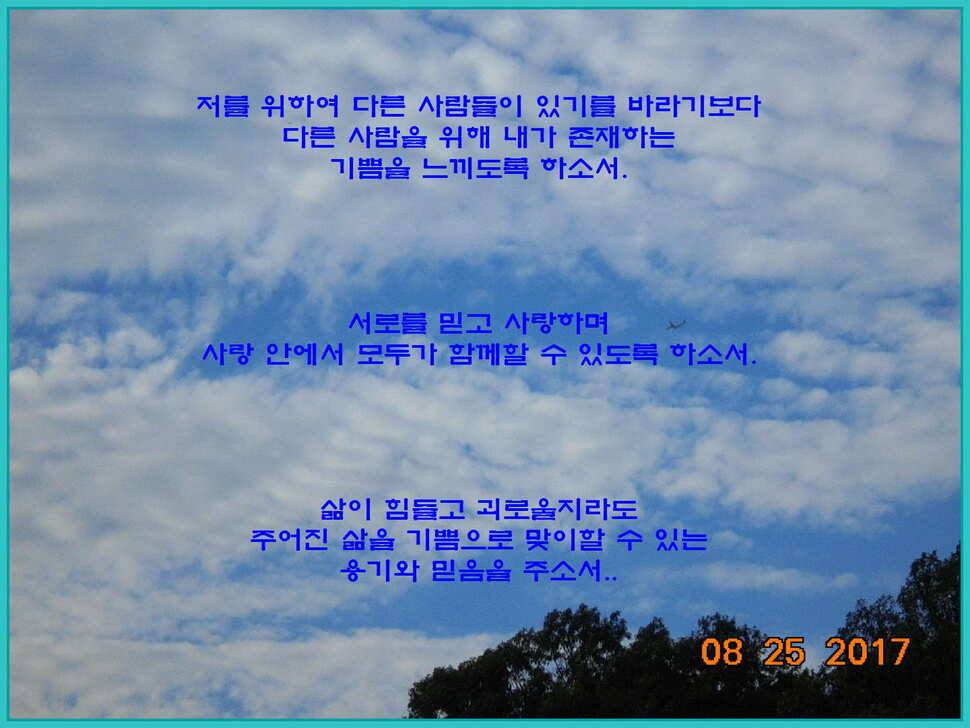 도심속의 작은 쉼터 화성 관리 낚시터입니다8월도 하루 남았습니다 (유료터정보 - 유료터점주조황)