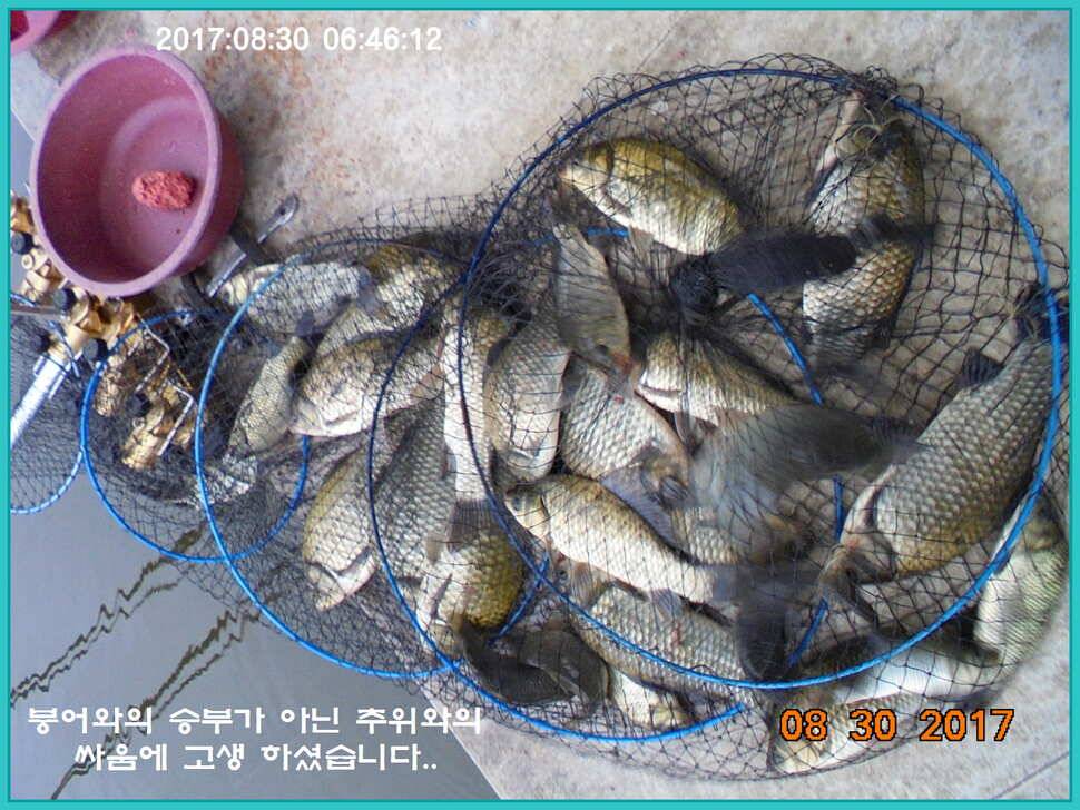 도심속의 작은 쉼터 화성 관리 낚시터입니다 (유료터정보 - 유료터점주조황)