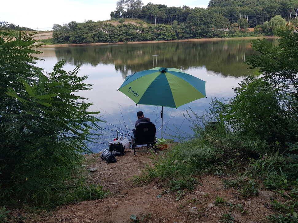 8월 19일 당진 가교리 낚시터 토종붕어 조황 (유료터정보 - 유료터점주조황)