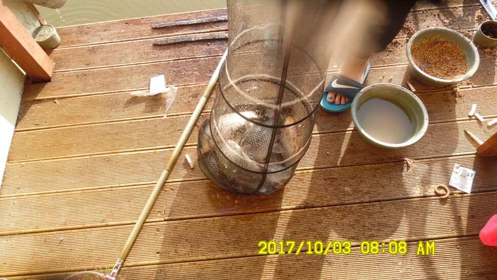 반제지 대박조황은 쭈욱 (유료터정보 - 유료터점주조황)
