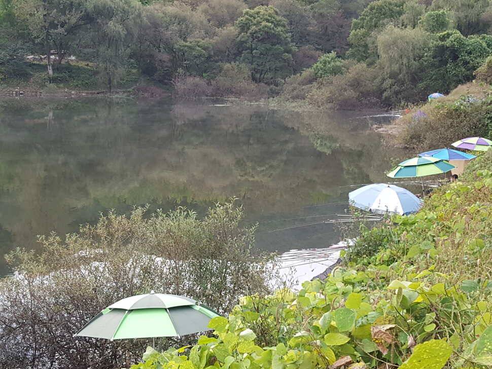 안성죽산장계지조항전경입니다 (유료터정보 - 유료터점주조황)