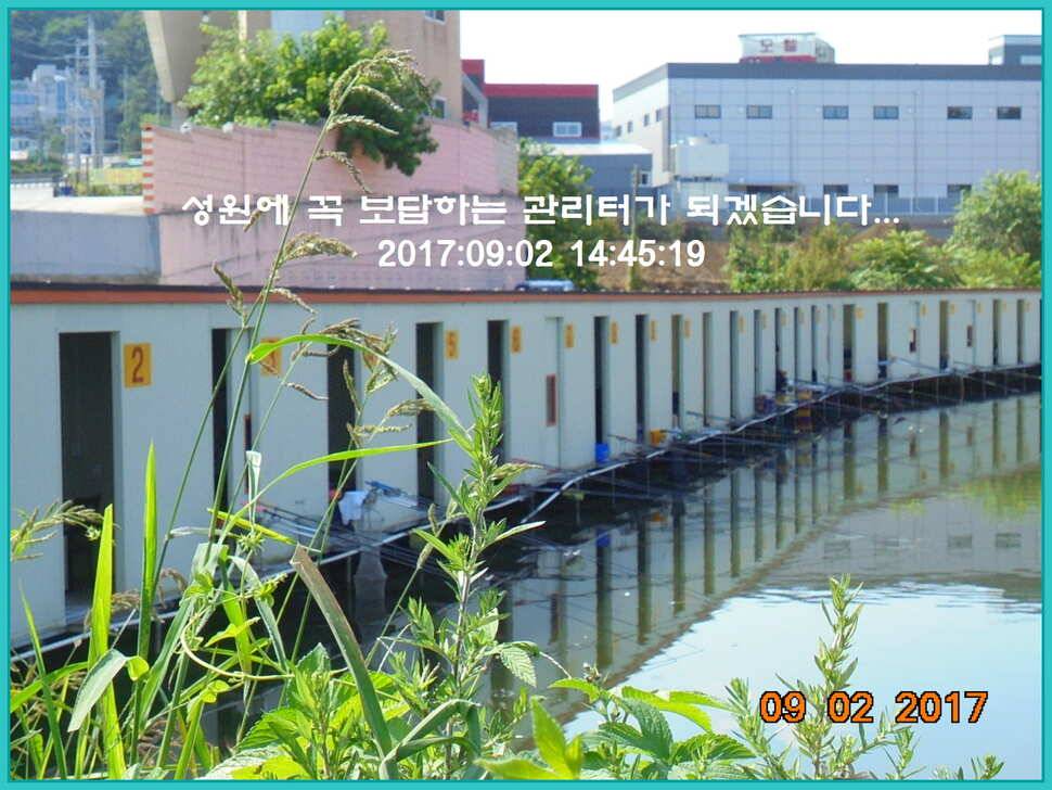 도심속의 작은 쉼터 화성 관리 낚시터 입니다 (유료터정보 - 유료터점주조황)