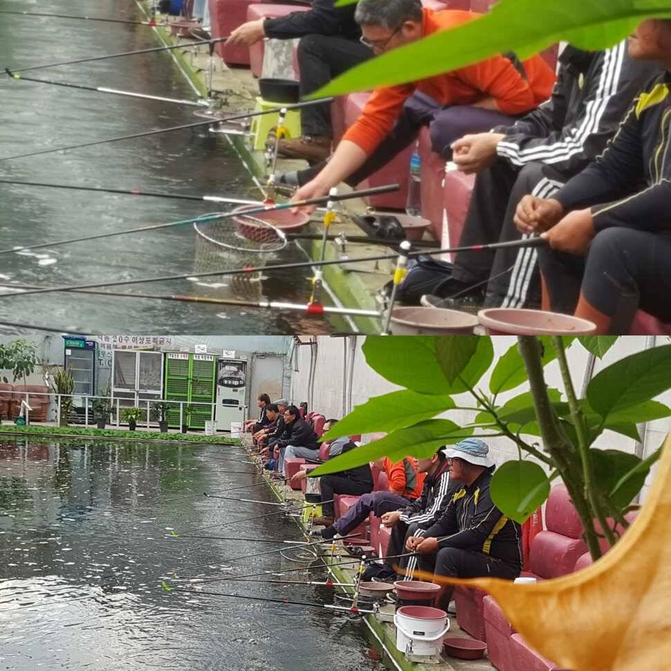 신세타령 (유료터정보 - 유료터점주조황)