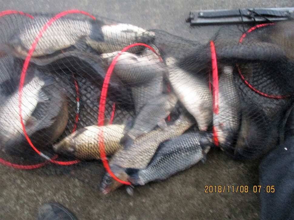 fish_pay_81164_103522_40483.jpg